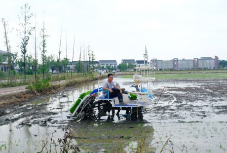 北斗導航無人駕駛 鎮(zhèn)江首臺智能無人駕駛插秧機下田干活了